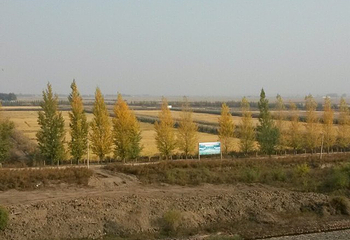 龙凤山风景名胜区第 11 张图片