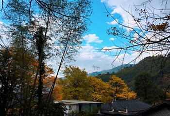 桐子坳第 14 张图片