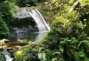 石门冲自然生态景区第 14 张图片