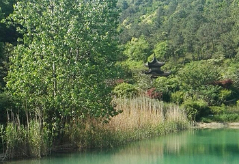 苏州旺山九龙潭风景区第 19 张图片