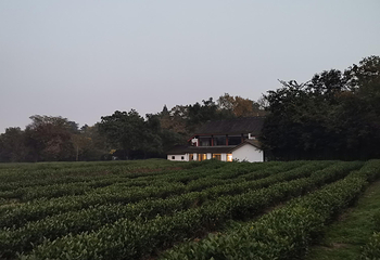 北高峰第 27 张图片