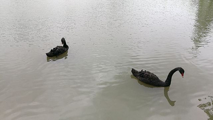 古寿圣寺第 13 张图片