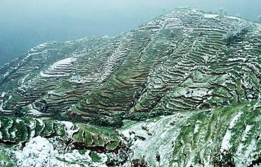 大黑山省级森林公园第 4 张图片