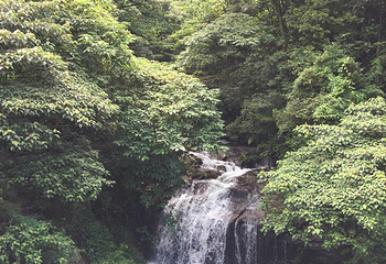 石门冲自然生态景区第 24 张图片