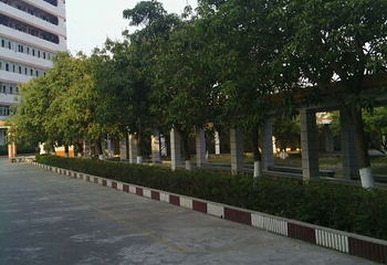 云浮市邓发纪念中学第 7 张图片