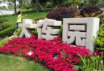 黑暗骑乘--梦幻长江第 23 张图片