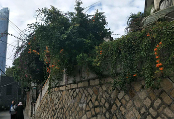 南华路第 17 张图片