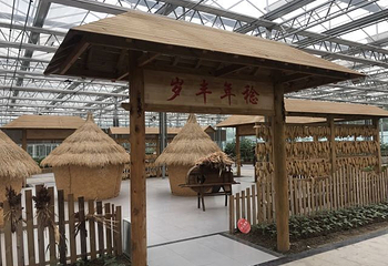莘县中原现代农业嘉年华第 10 张图片