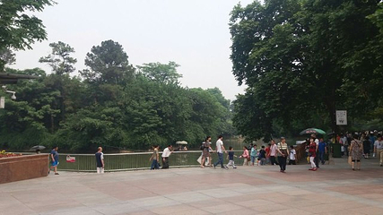 中山公园第 37 张图片