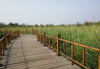 洽川风景区第 24 张图片
