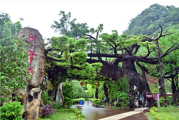 神峰关生态旅游度假区第 24 张图片