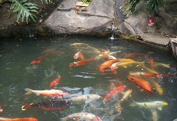野趣沟第 34 张图片