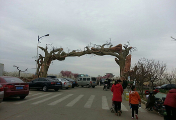 梨乡风情旅游区第 8 张图片