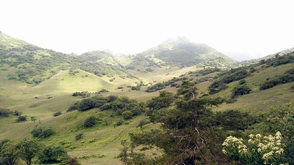 红池坝风景区第 29 张图片