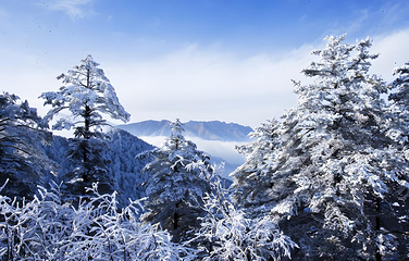 西岭雪山（滑雪场景区）第 21 张图片