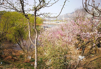 十梅庵风景区第 17 张图片