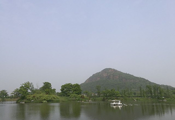 阳山桃花岛景观公园第 6 张图片