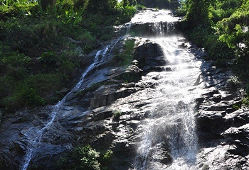 海南百花岭热带雨林文化旅游区第 45 张图片
