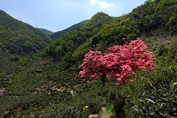 东白山第 16 张图片