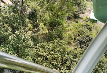 落星石第 18 张图片