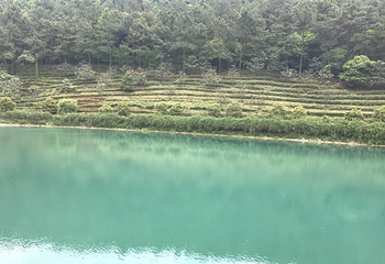 苏州旺山九龙潭风景区第 14 张图片