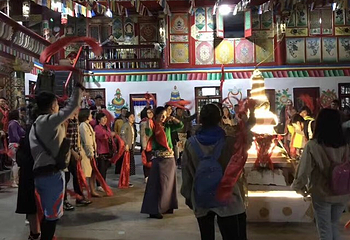 黄哈达之家藏羌烤羊晚会第 6 张图片