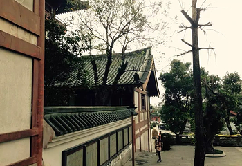 大华兴寺第 22 张图片