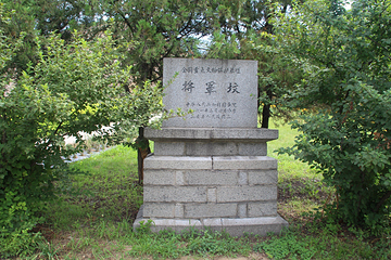 长寿王陵第 8 张图片