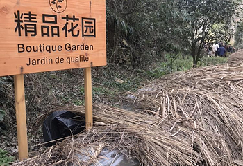 巫山峡谷旅游景区第 34 张图片