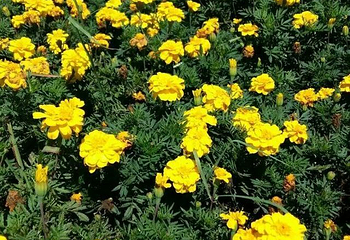 紫蒙湖旅游风景区第 40 张图片