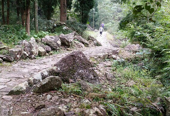 雁湖景区第 11 张图片