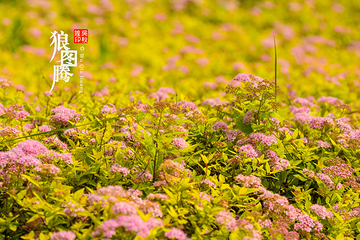 南湖公园第 29 张图片