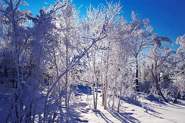 丝绸之路山地度假区滑雪场第 59 张图片