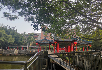 龙岗龙园第 21 张图片