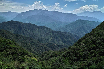 青华山卧佛寺景区第 40 张图片