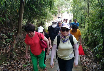 天龙顶国家山地公园第 25 张图片