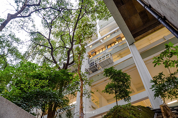 香港大学第 11 张图片