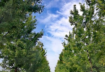 沙澧河风景区第 15 张图片