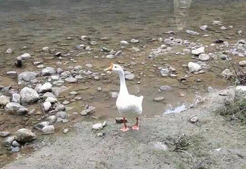 永安溪漂流第 17 张图片