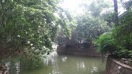 中山公园第 29 张图片