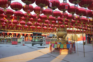 皇寺第 18 张图片
