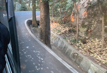 南岳衡山风景名胜区第 163 张图片