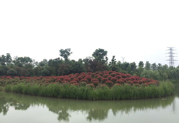 嬉乐湾休闲旅游区第 18 张图片