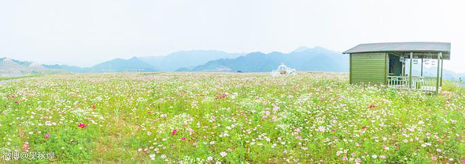 千岛湖马术公园第 20 张图片