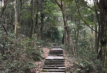 文公山第 33 张图片