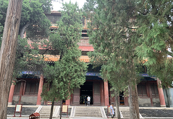 北京孔庙第 27 张图片