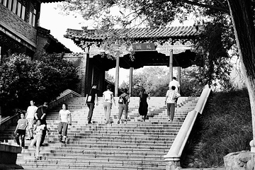 龙沙公园第 28 张图片