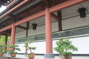 南充市西山风景区万卷楼景区-玉屏公园第 15 张图片