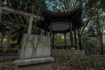 南京大学(鼓楼校区)第 27 张图片