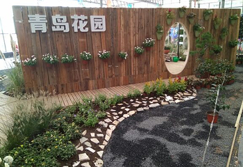 第六届山东花博会第 5 张图片